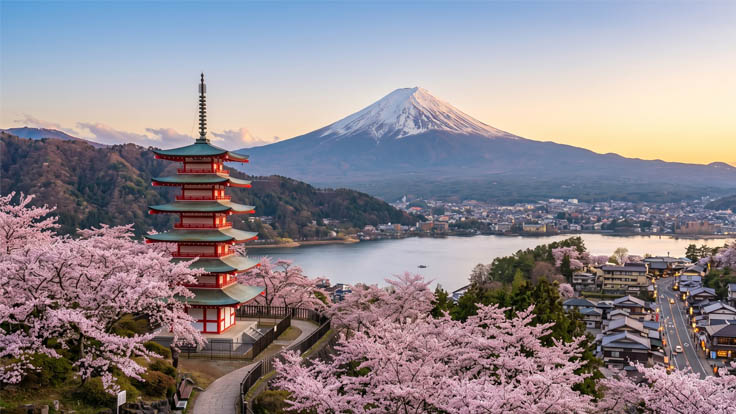 Best Time to Visit Japan: A Season-by-Season Travel Guide